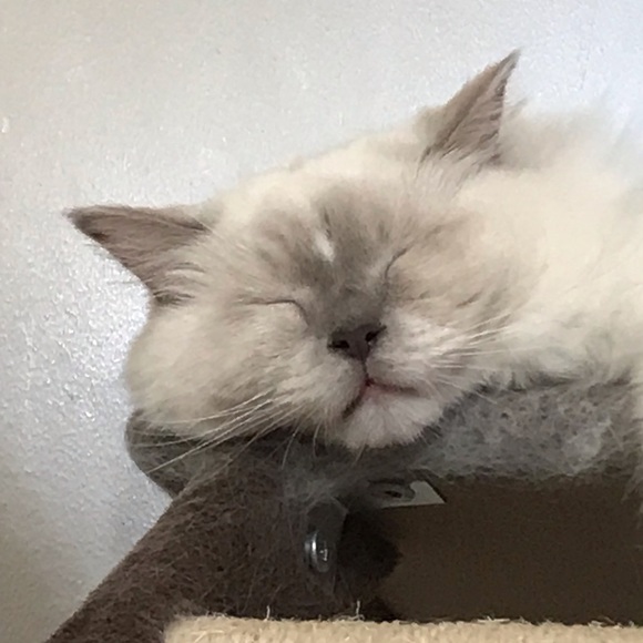 Meet your Posher, Takumi - Picture 1 of 1